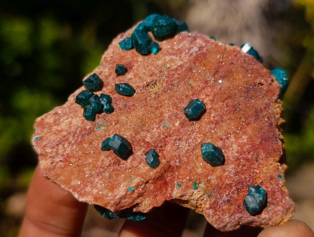 Natural Dioptase on Dolomite Specimens x 12 From Likasi, Congo - Toprock Gemstones and Minerals 