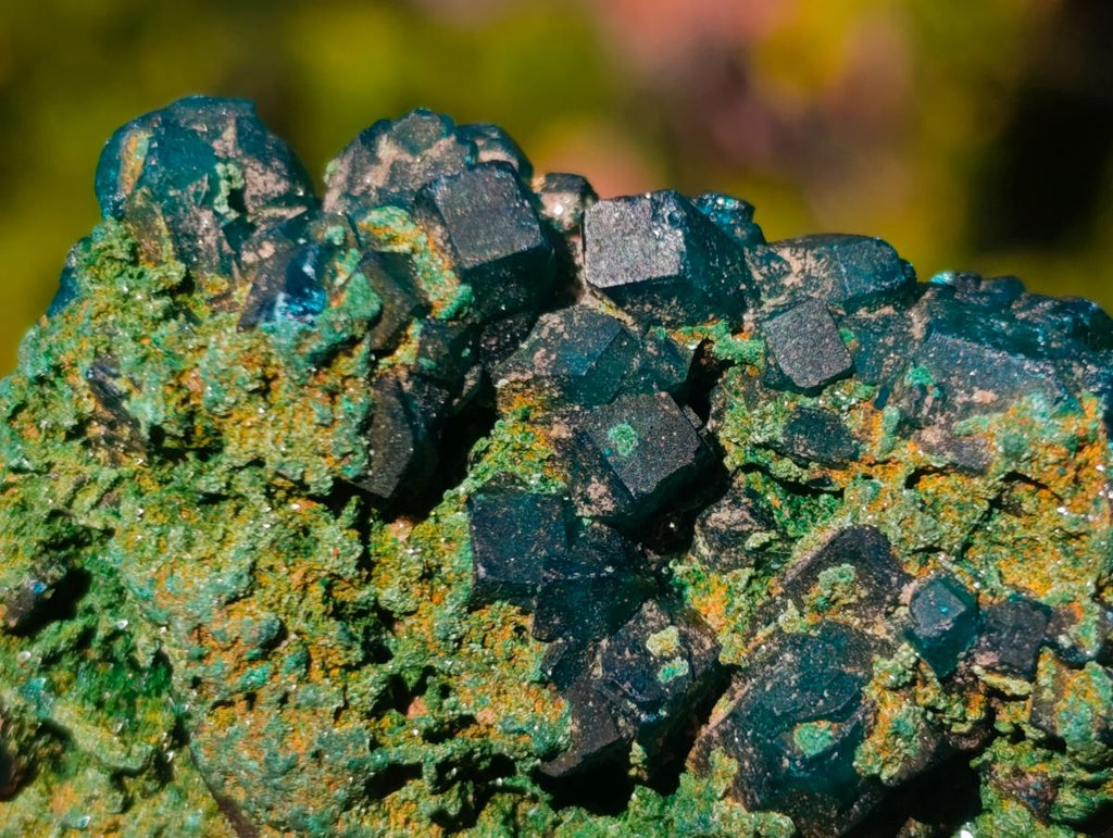 Natural Dioptase on Dolomite Specimens x 12 From Likasi, Congo - Toprock Gemstones and Minerals 