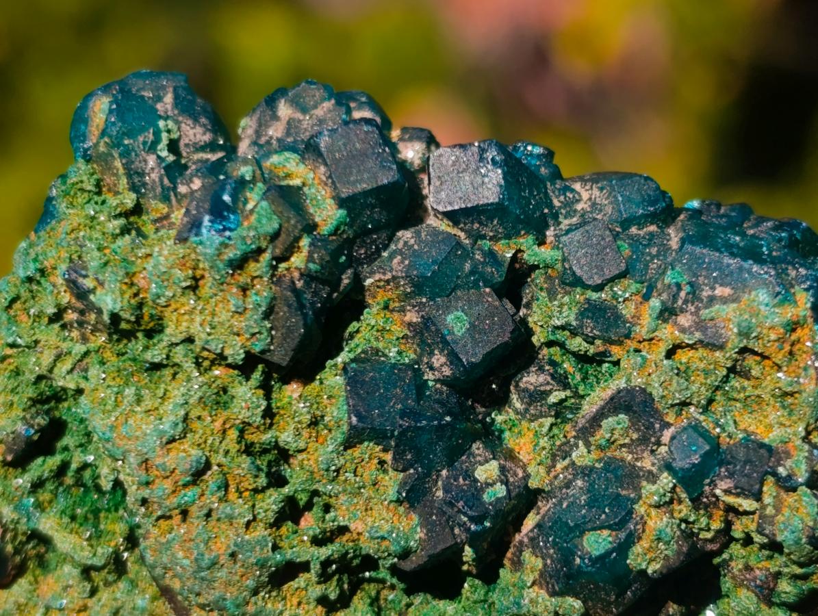 Natural Dioptase on Dolomite Specimens x 12 From Likasi, Congo - Toprock Gemstones and Minerals 