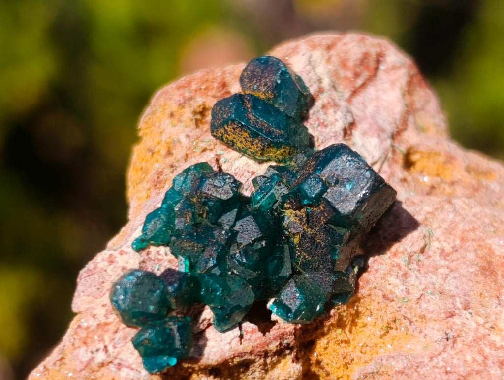Natural Dioptase on Dolomite Specimens x 12 From Likasi, Congo - Toprock Gemstones and Minerals 