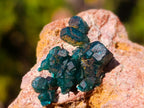 Natural Dioptase on Dolomite Specimens x 12 From Likasi, Congo - Toprock Gemstones and Minerals 