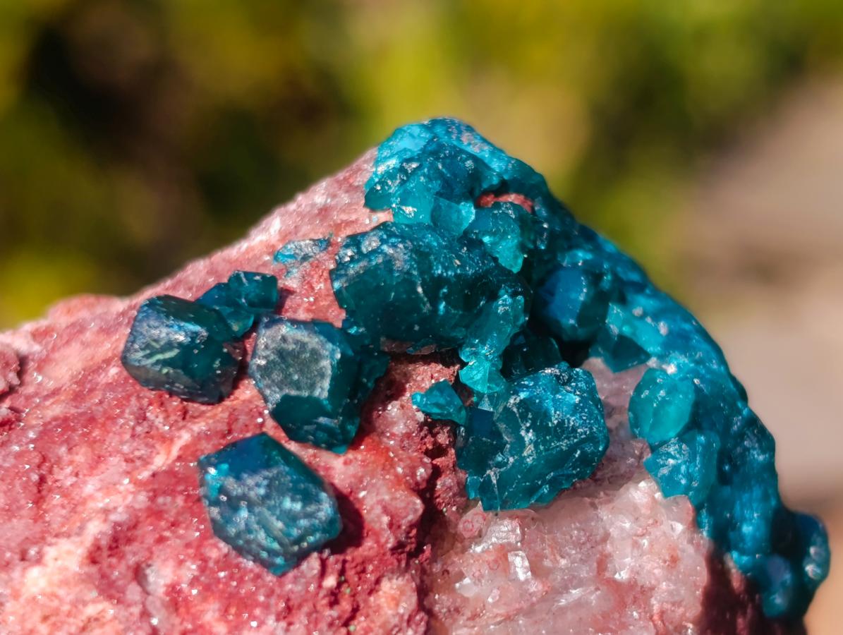 Natural Dioptase on Dolomite Specimens x 12 From Likasi, Congo - Toprock Gemstones and Minerals 