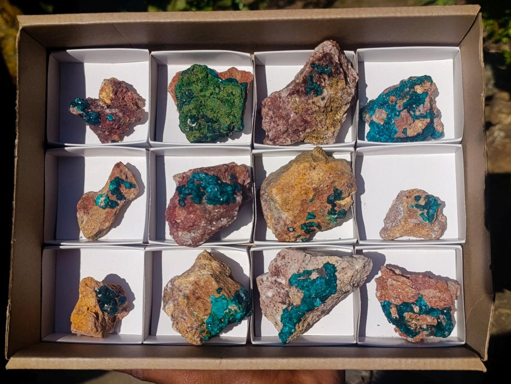 Natural Dioptase on Dolomite Specimens x 12 From Likasi, Congo - Toprock Gemstones and Minerals 