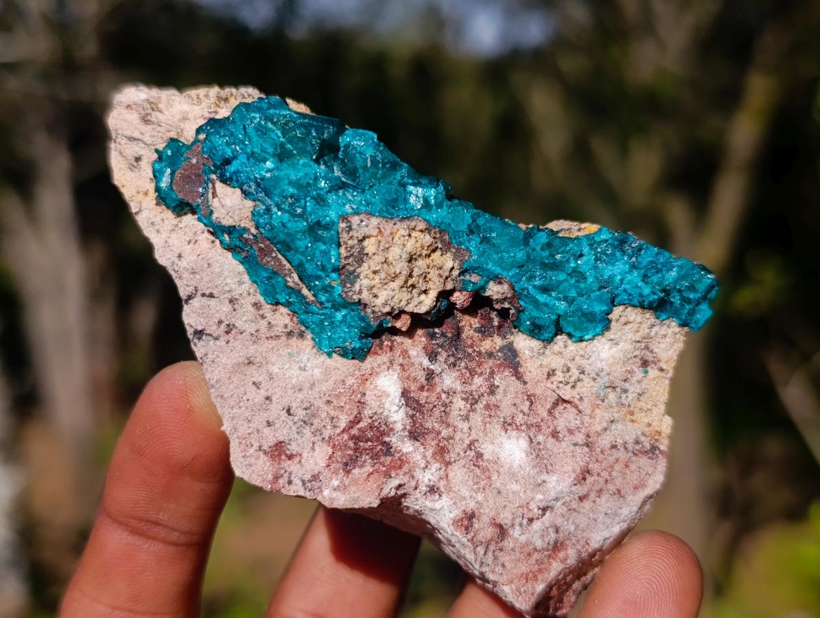 Natural Dioptase on Dolomite Specimens x 12 From Likasi, Congo - Toprock Gemstones and Minerals 