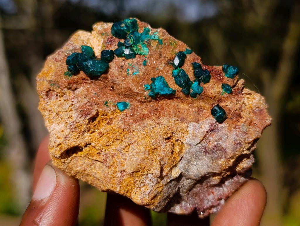 Natural Dioptase on Dolomite Specimens x 12 From Likasi, Congo - Toprock Gemstones and Minerals 