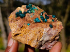 Natural Dioptase on Dolomite Specimens x 12 From Likasi, Congo - Toprock Gemstones and Minerals 