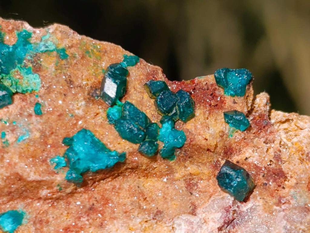 Natural Dioptase on Dolomite Specimens x 12 From Likasi, Congo - Toprock Gemstones and Minerals 