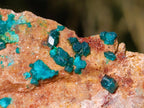 Natural Dioptase on Dolomite Specimens x 12 From Likasi, Congo - Toprock Gemstones and Minerals 