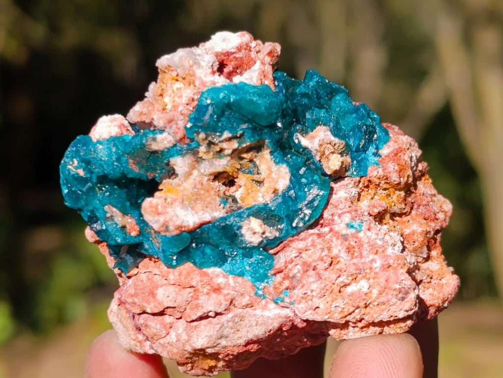 Natural Dioptase on Dolomite Specimens x 12 From Likasi, Congo - Toprock Gemstones and Minerals 