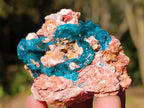 Natural Dioptase on Dolomite Specimens x 12 From Likasi, Congo - Toprock Gemstones and Minerals 