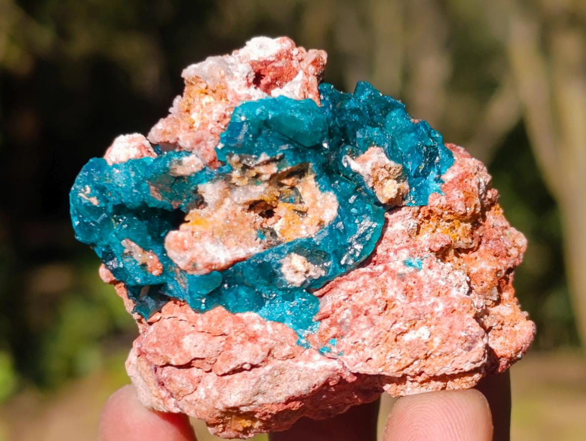 Natural Dioptase on Dolomite Specimens x 12 From Likasi, Congo - Toprock Gemstones and Minerals 