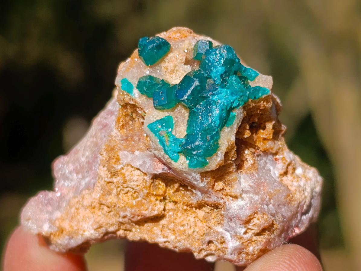 Natural Dioptase on Dolomite Specimens x 12 From Likasi, Congo - Toprock Gemstones and Minerals 