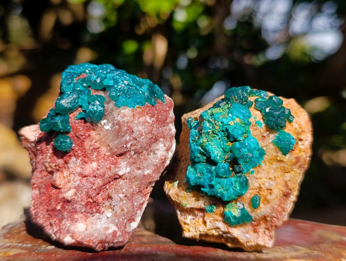 Natural Dioptase on Dolomite Specimens x 12 From Likasi, Congo - Toprock Gemstones and Minerals 