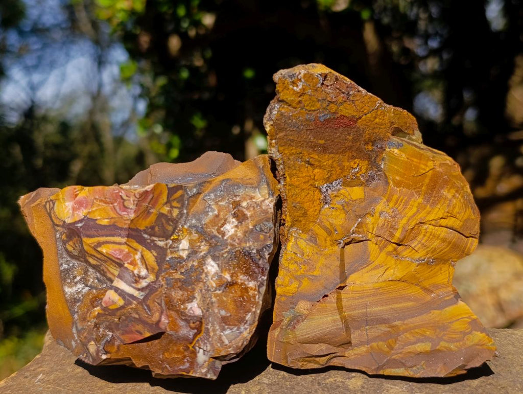 Natural Nguni Jasper Cobbed Specimens x 6 From Northern Cape, South Africa - Toprock Gemstones and Minerals 