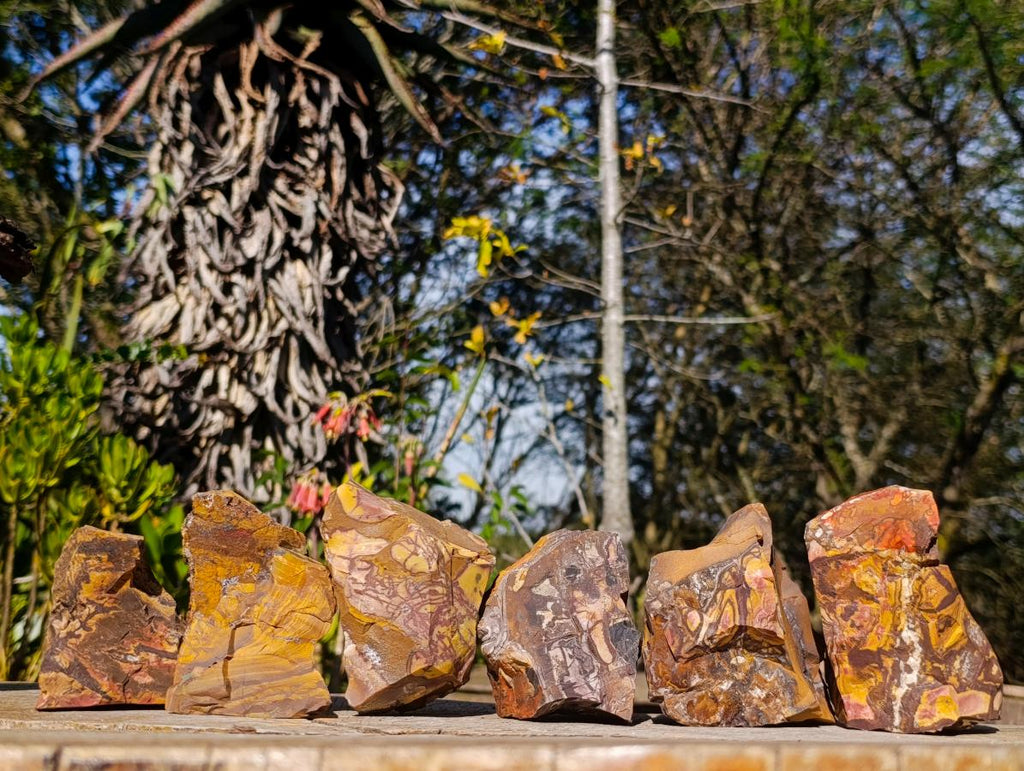 Natural Nguni Jasper Cobbed Specimens x 6 From Northern Cape, South Africa - Toprock Gemstones and Minerals 
