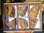 Natural Nguni Jasper Cobbed Specimens x 6 From Northern Cape, South Africa - Toprock Gemstones and Minerals 