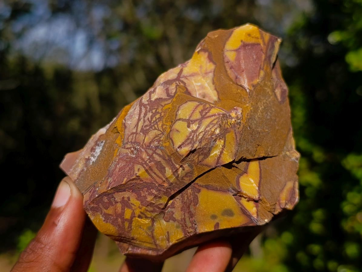 Natural Nguni Jasper Cobbed Specimens x 6 From Northern Cape, South Africa - Toprock Gemstones and Minerals 