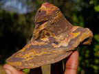 Natural Nguni Jasper Cobbed Specimens x 6 From Northern Cape, South Africa - Toprock Gemstones and Minerals 