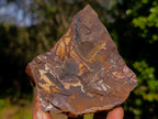 Natural Nguni Jasper Cobbed Specimens x 6 From Northern Cape, South Africa - Toprock Gemstones and Minerals 