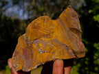 Natural Nguni Jasper Cobbed Specimens x 6 From Northern Cape, South Africa - Toprock Gemstones and Minerals 