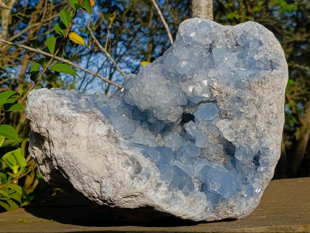 Natural XL Blue Celestite Geode Specimen x 1 From Sakoany, Madagascar - Toprock Gemstones and Minerals 