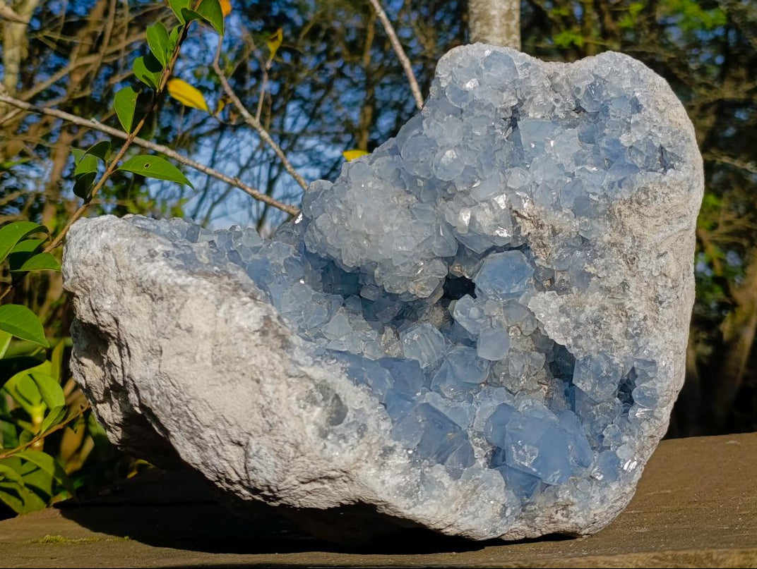 Natural XL Blue Celestite Geode Specimen x 1 From Sakoany, Madagascar - Toprock Gemstones and Minerals 
