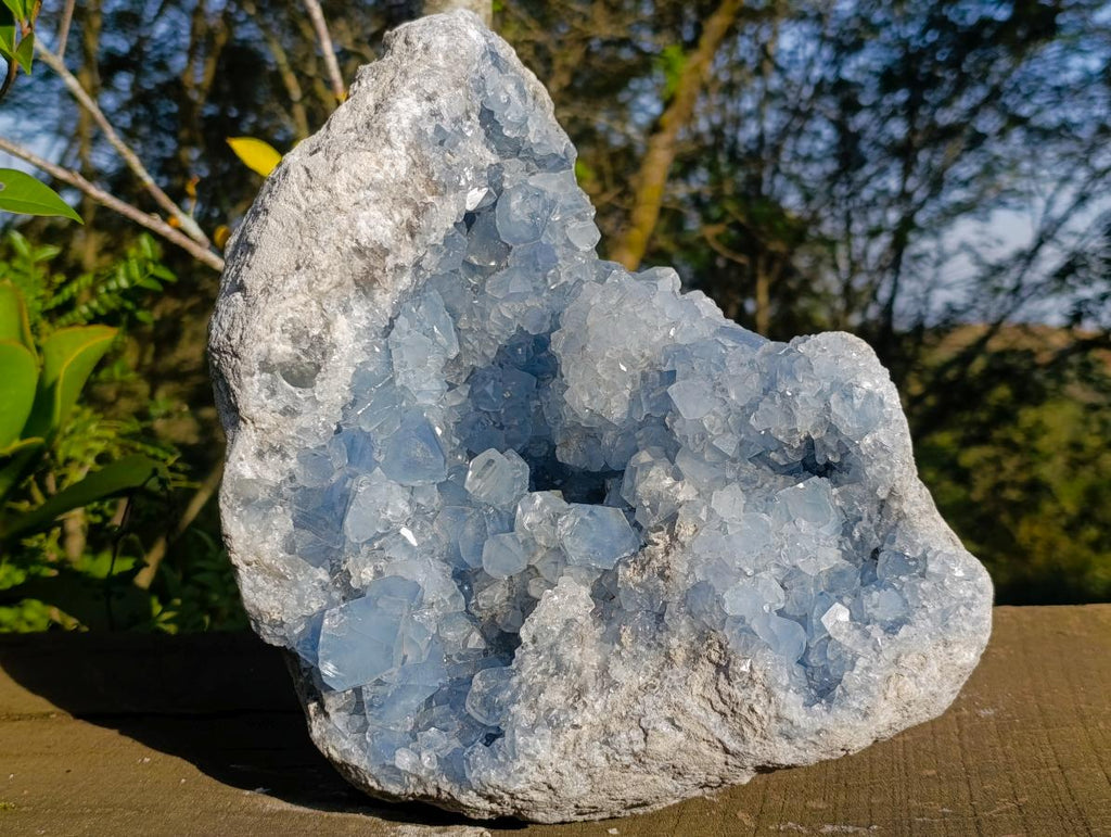 Natural XL Blue Celestite Geode Specimen x 1 From Sakoany, Madagascar - Toprock Gemstones and Minerals 