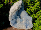 Natural XL Blue Celestite Geode Specimen x 1 From Sakoany, Madagascar - Toprock Gemstones and Minerals 