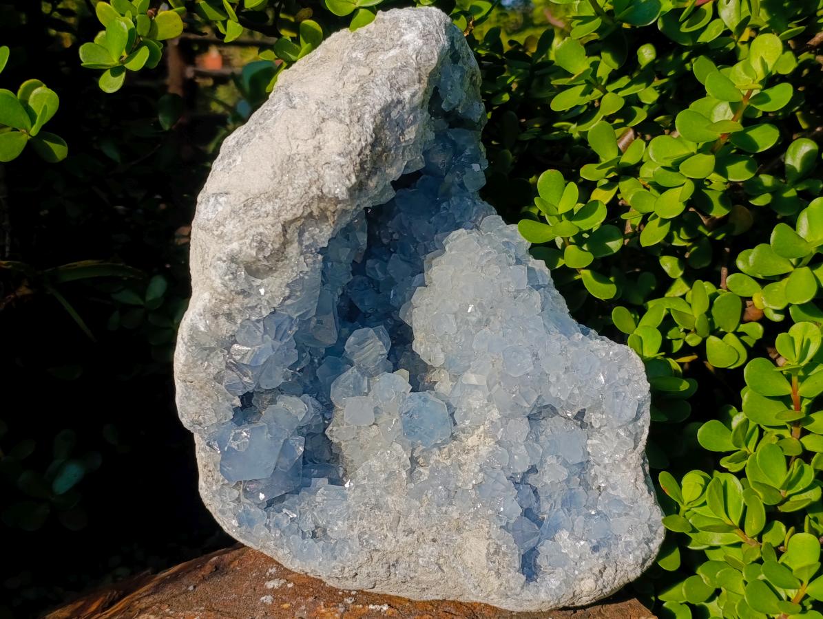Natural XL Blue Celestite Geode Specimen x 1 From Sakoany, Madagascar - Toprock Gemstones and Minerals 