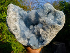 Natural XL Blue Celestite Geode Specimen x 1 From Sakoany, Madagascar - Toprock Gemstones and Minerals 