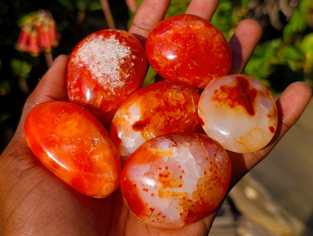 Polished Carnelian Agate Gemstone Galets x 24 From Madagascar - Toprock Gemstones and Minerals 