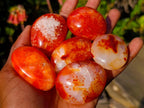 Polished Carnelian Agate Gemstone Galets x 24 From Madagascar - Toprock Gemstones and Minerals 