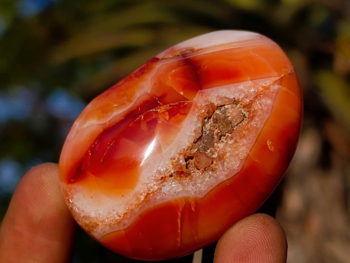 Polished Carnelian Agate Gemstone Galets x 24 From Madagascar - Toprock Gemstones and Minerals 