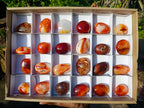 Polished Carnelian Agate Gemstone Galets x 24 From Madagascar - Toprock Gemstones and Minerals 