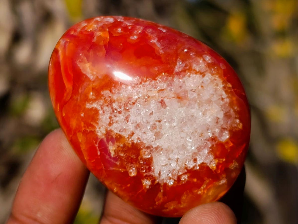 Polished Carnelian Agate Gemstone Galets x 24 From Madagascar - Toprock Gemstones and Minerals 