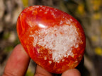 Polished Carnelian Agate Gemstone Galets x 24 From Madagascar - Toprock Gemstones and Minerals 