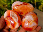 Polished Carnelian Agate Gemstone Galets x 24 From Madagascar - Toprock Gemstones and Minerals 