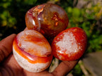 Polished Carnelian Agate Gemstone Galets x 24 From Madagascar - Toprock Gemstones and Minerals 