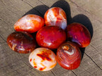 Polished Carnelian Agate Gemstone Galets x 24 From Madagascar - Toprock Gemstones and Minerals 