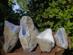 Natural Blue Lace Agate Geode Specimens x 12 From Nsanje, Malawi - Toprock Gemstones and Minerals 