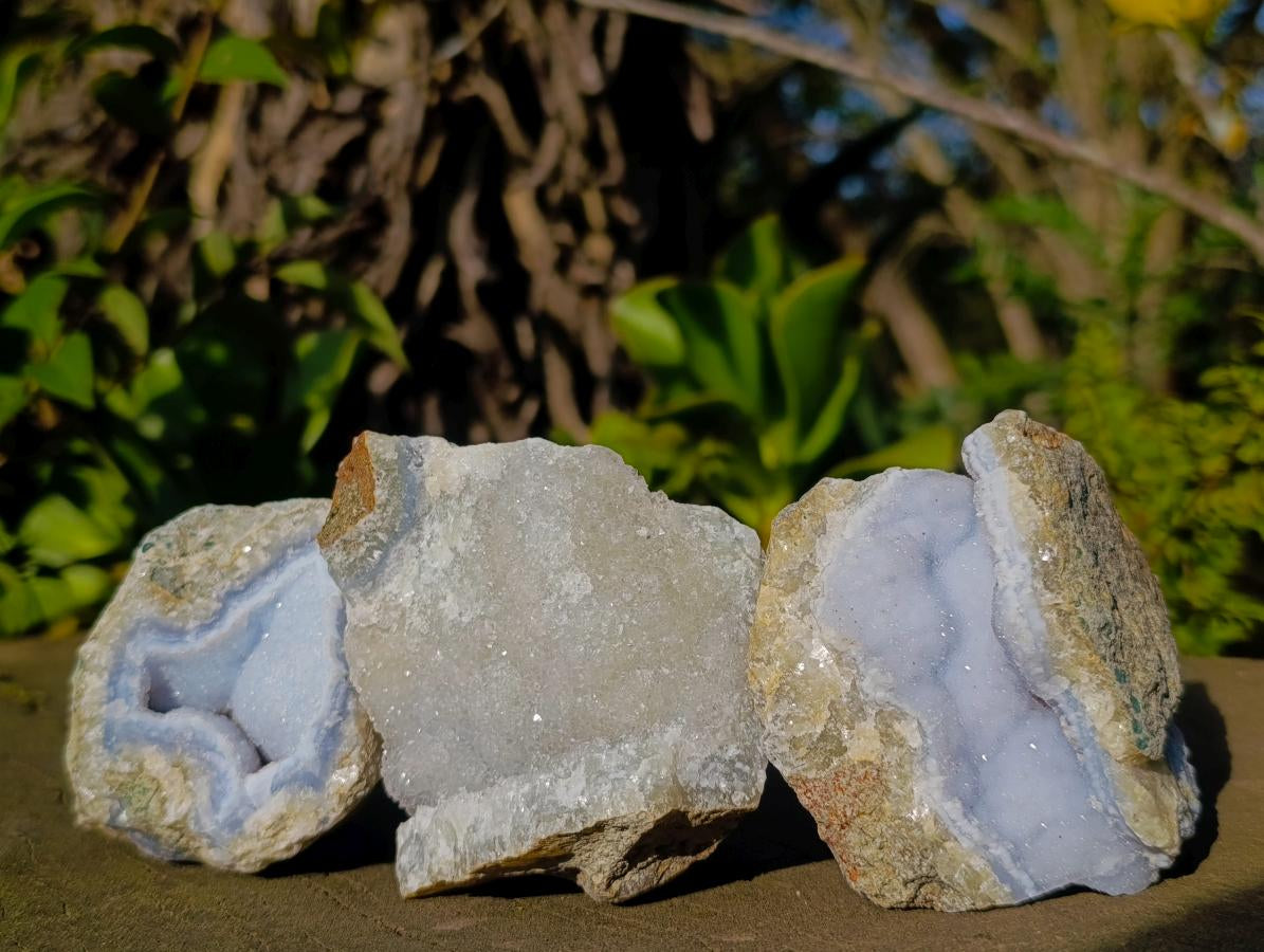 Natural Blue Lace Agate Geode Specimens x 12 From Nsanje, Malawi - Toprock Gemstones and Minerals 