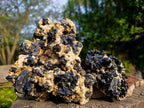 Natural Schorl Black Tourmaline with Muscovite Mica Specimens x 2 From Erongo, Namibia - Toprock Gemstones and Minerals 