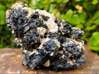 Natural Schorl Black Tourmaline with Muscovite Mica Specimens x 2 From Erongo, Namibia - Toprock Gemstones and Minerals 