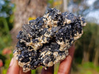 Natural Schorl Black Tourmaline with Muscovite Mica Specimens x 2 From Erongo, Namibia - Toprock Gemstones and Minerals 