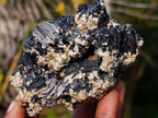 Natural Schorl Black Tourmaline with Muscovite Mica Specimens x 2 From Erongo, Namibia - Toprock Gemstones and Minerals 