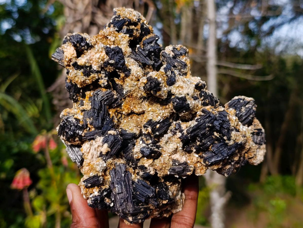 Natural Schorl Black Tourmaline with Muscovite Mica Specimens x 2 From Erongo, Namibia - Toprock Gemstones and Minerals 