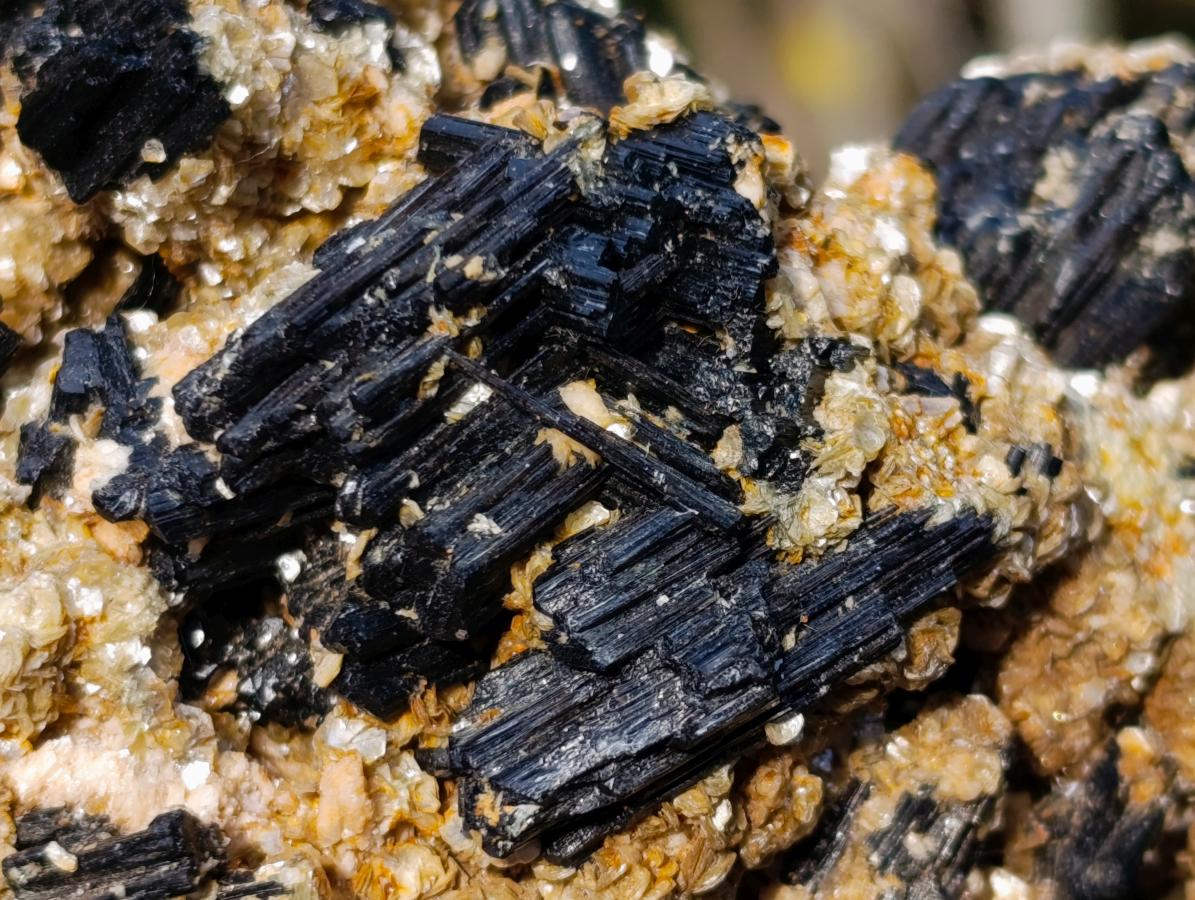 Natural Schorl Black Tourmaline with Muscovite Mica Specimens x 2 From Erongo, Namibia - Toprock Gemstones and Minerals 