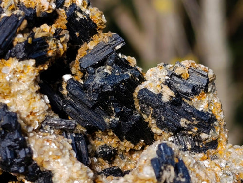 Natural Schorl Black Tourmaline with Muscovite Mica Specimens x 2 From Erongo, Namibia - Toprock Gemstones and Minerals 