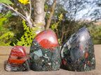 Polished Bloodstone Standing Display Pieces x 3 From Swaziland - Toprock Gemstones and Minerals 