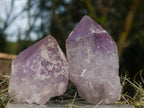 Natural Jacaranda Amethyst Single Crystals x 12 From Mumbwa, Zambia - Toprock Gemstones and Minerals 